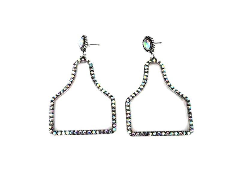 Western AB Stone Cattle Tag Dangle Earring